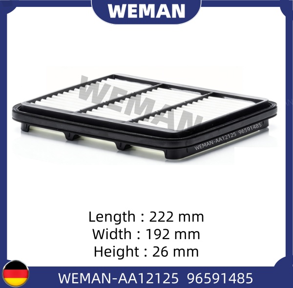 WEMAN Lọc gió AA12125