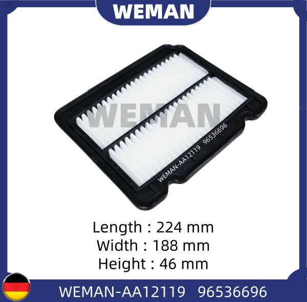 WEMAN Lọc gió AA12119