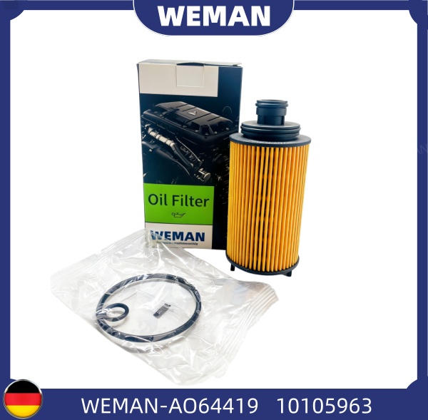 WEMAN Lọc dầu A064419