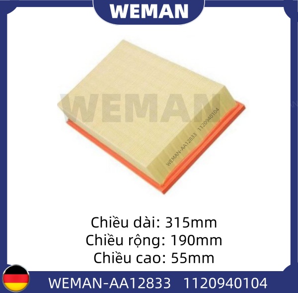 WEMAN Lọc gió AA12833