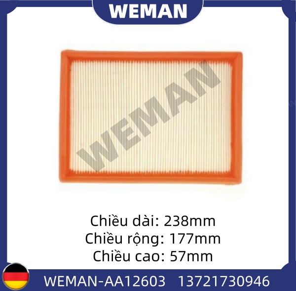 WEMAN Lọc gió AA12603