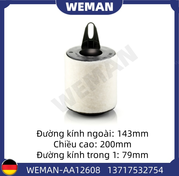 WEMAN Lọc gió AA12608