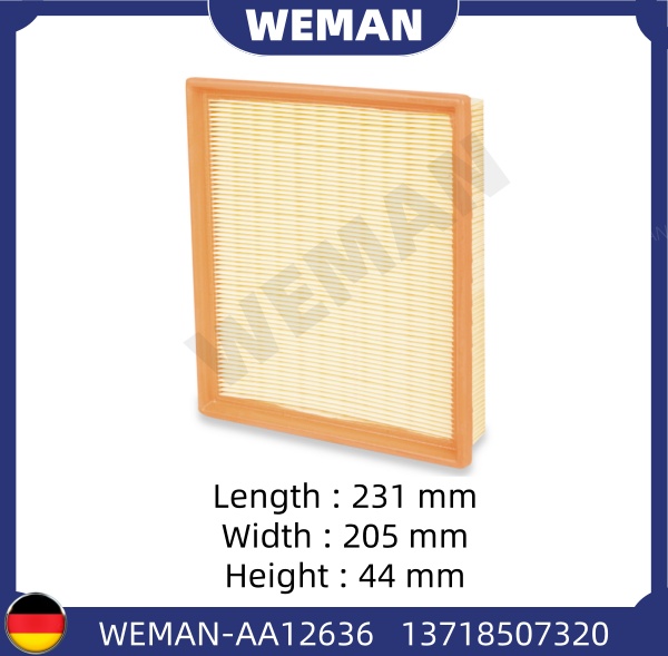 WEMAN Lọc gió AA12636