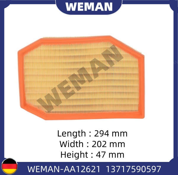 WEMAN Lọc gió AA12621