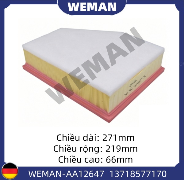 WEMAN Lọc gió AA12647