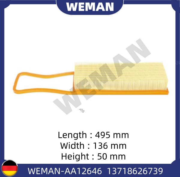 WEMAN Lọc gió AA12646