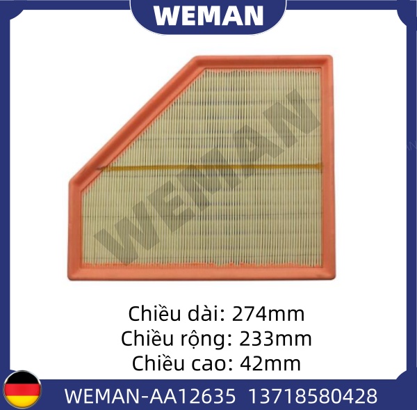 WEMAN Lọc gió AA12635/2653