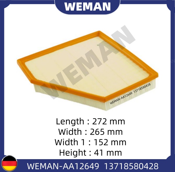 WEMAN Lọc gió AA12649