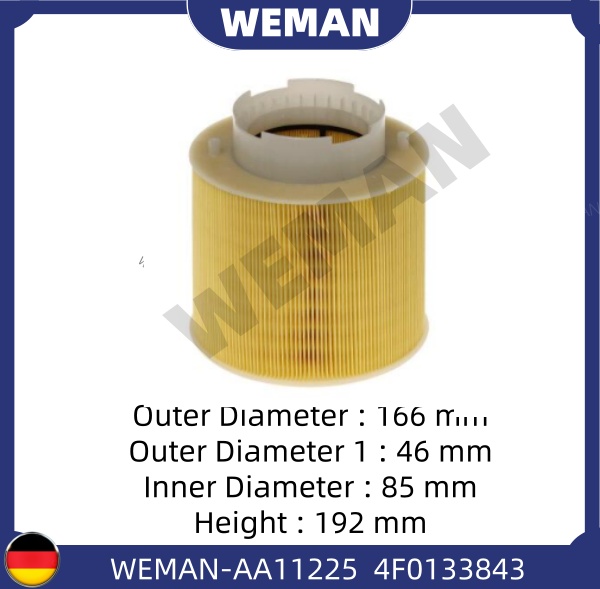 WEMAN Lọc gió AA11225