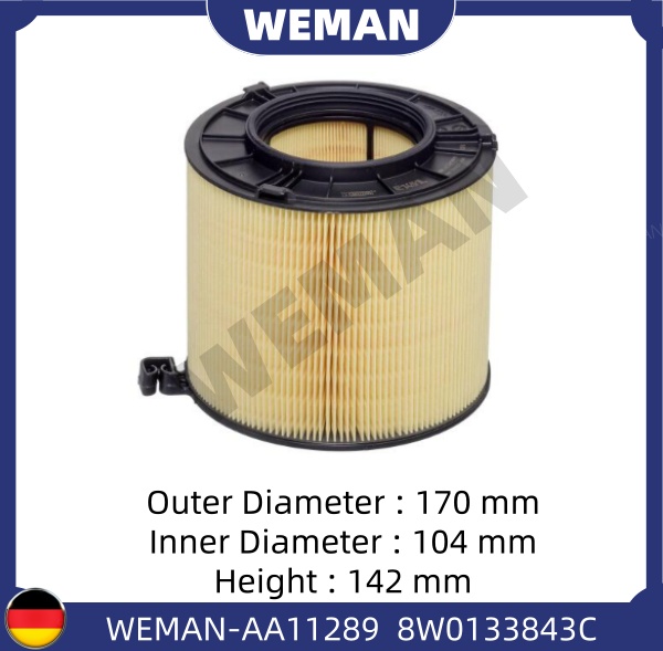 WEMAN Lọc gió AA11289