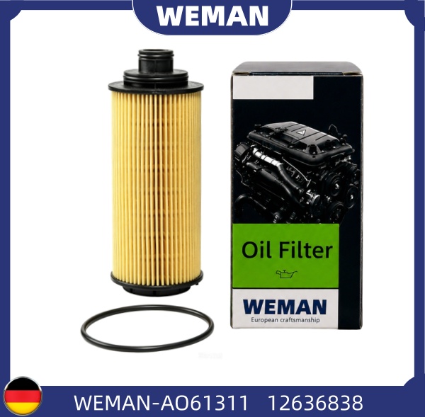 WEMAN Lọc dầu AO61311