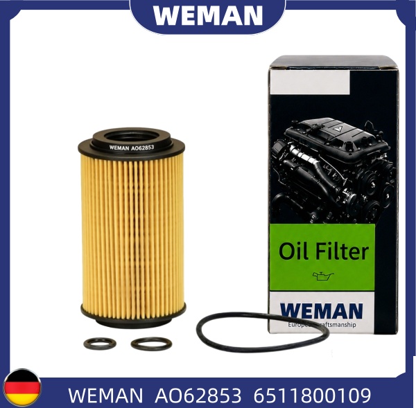 WEMAN Lọc dầu AO62853